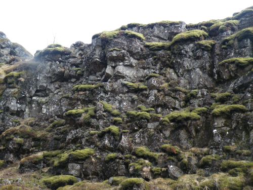 Also at Þingvellir, just a very cool wall of rocks and mossy stuff.